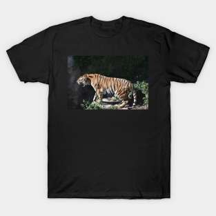 Roaring Tiger T-Shirt